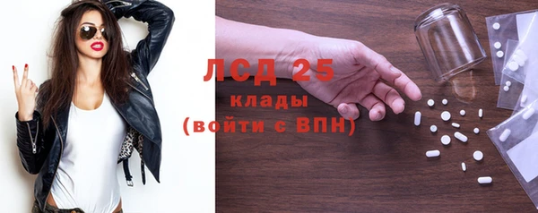 индика Алексин