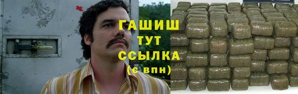 PSILOCYBIN Алзамай