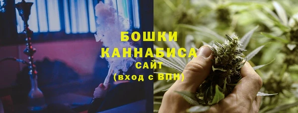 PSILOCYBIN Алзамай