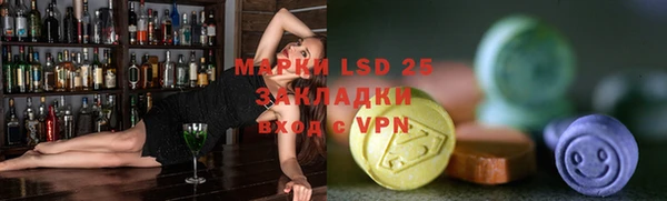 индика Алексин