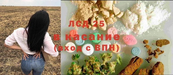 индика Алексин
