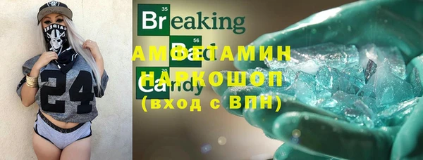 индика Алексин