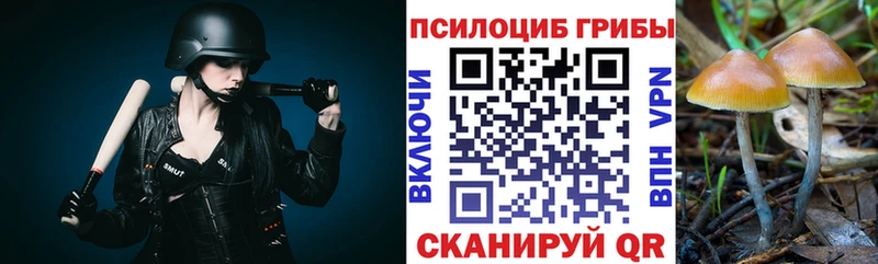 как найти   Пикалёво  Галлюциногенные грибы Magic Shrooms 